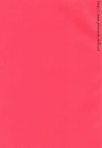 [Goribote] Futago to Onii-san Fhentai - Page 3