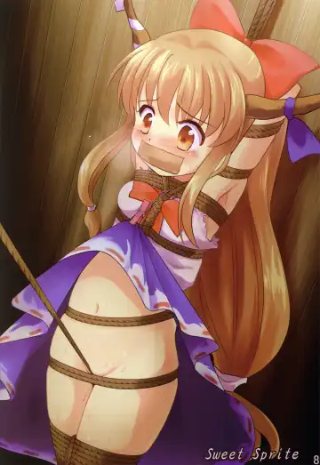 [Lilish - Tamuhi - Yoshi Keto] Touhou Kinbaku Goudou Gensou Kinbaku Shoujo Fhentai - Page 8