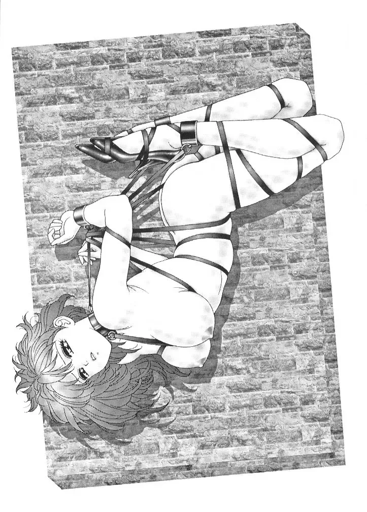 [Mon-mon - Tada Atsunori] Bondage Collection Vol. 1 Fhentai - Page 8