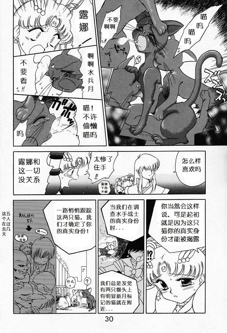 [Kuroinu Juu] Submission Sailormoon Fhentai - Page 29