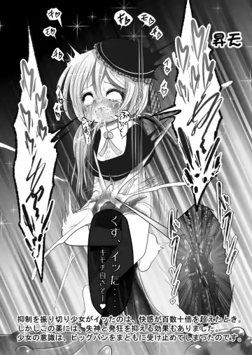 [Midoriko] Ecstasy Daizukan! Vol. 2 Fhentai - Page 14