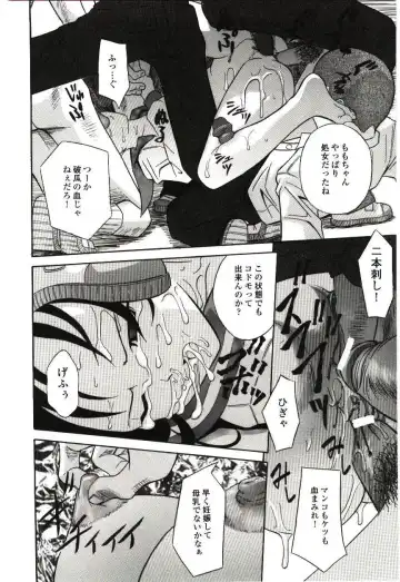 [Hashida Mamoru] Haka Zekkei Fhentai - Page 25