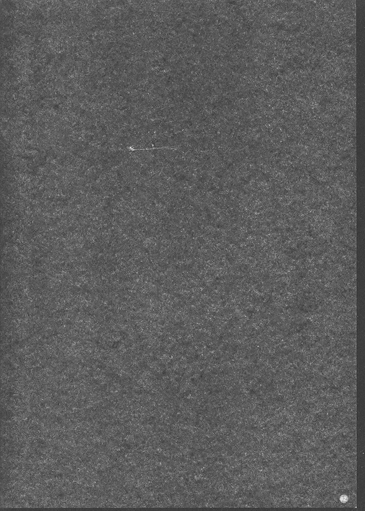 [Roshuu Takehiro] Miku-san Dai Tenshi Fhentai - Page 3