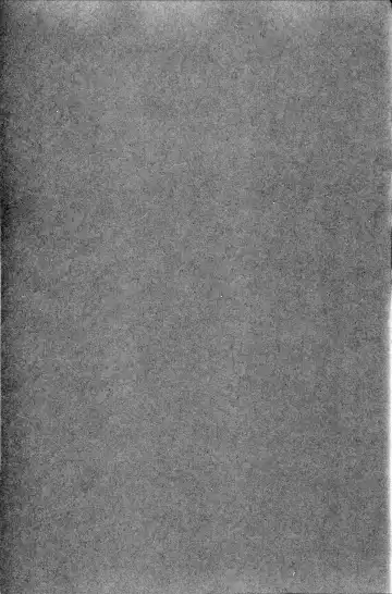 [Usagi Nagomu] Elf no Hime wa Kairaku ni Naku Fhentai - Page 3