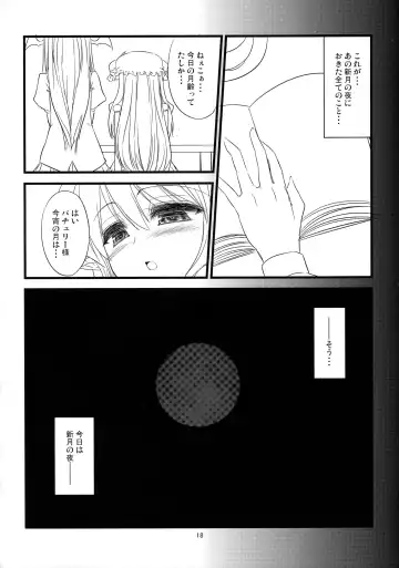 [Fujiyama Takashi] Aru Shingetsu no Yoru, Patchouli Knowledge wa Jukkaishita. Fhentai.net - Page 18