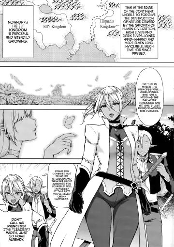 [Usagi Nagomu] Elf no Hime wa Kairaku ni Naku Fhentai - Page 4