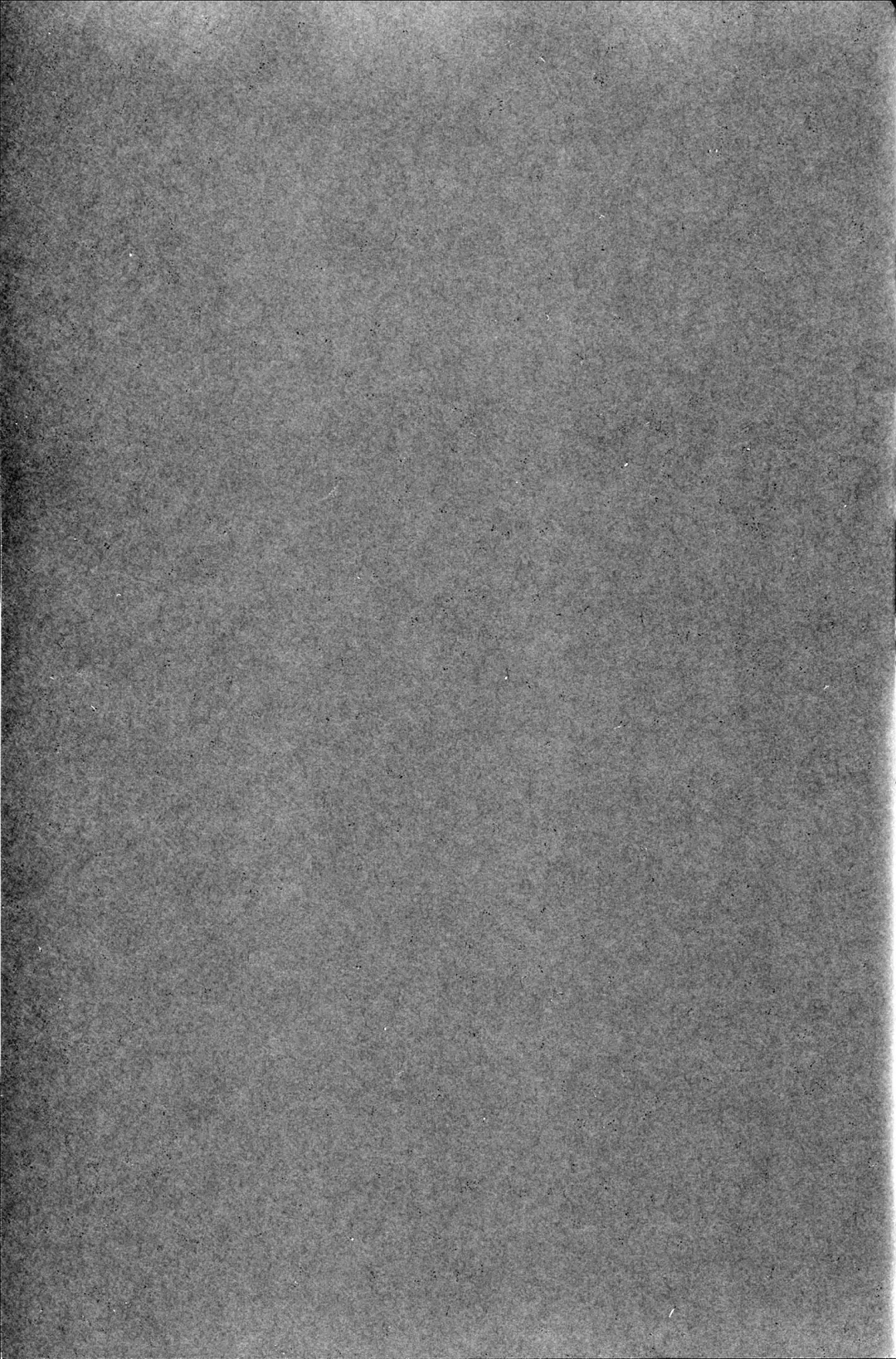 [Usagi Nagomu] Elf no Hime wa Kairaku ni Naku Fhentai - Page 4