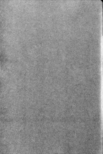 [Usagi Nagomu] Elf no Hime wa Kairaku ni Naku Fhentai - Page 37