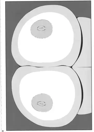 [Sugiura Sen] Ketsu DarakeTouhou Soushuuhen Series 2 Fhentai - Page 55