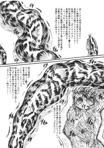 [Sumomo Ex] Vivian Bessatsu 33 Fhentai - Page 13