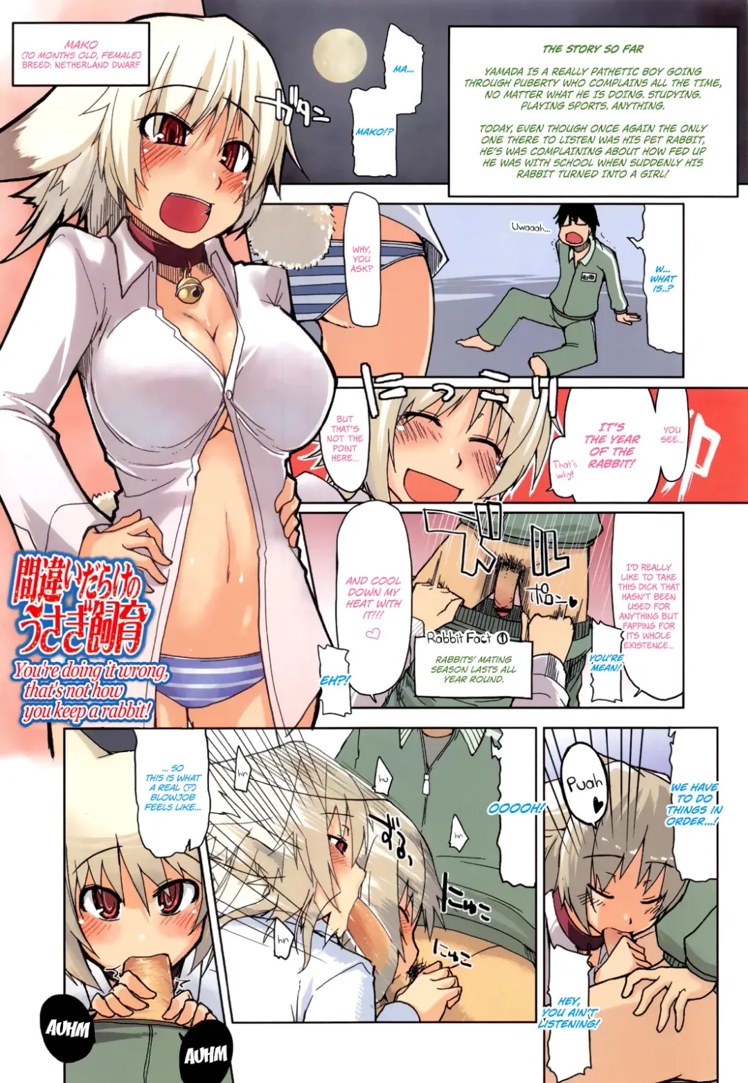 [Ryo] Oishii Oniku no Meshiagarikata | How To Eat Delicious Meat Ch. 1-8 Fhentai - Page 12