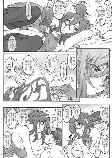 [Toumi Haruka] Serafina-fixer Fhentai - Page 30