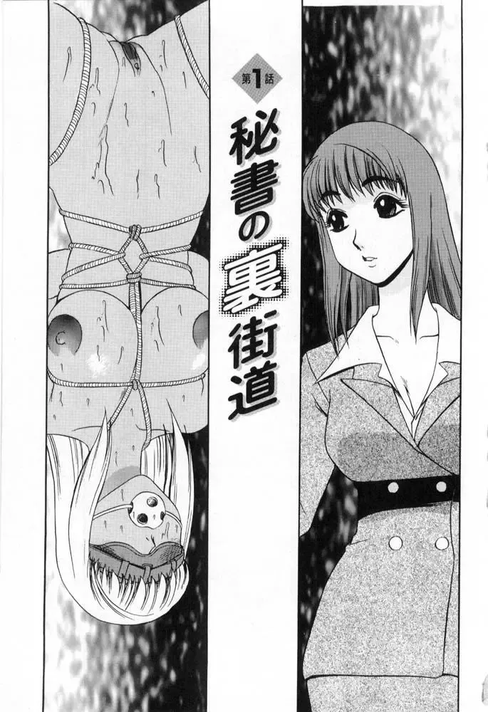 [Koshow Showshow] Hisho No Oshigoto Fhentai - Page 5