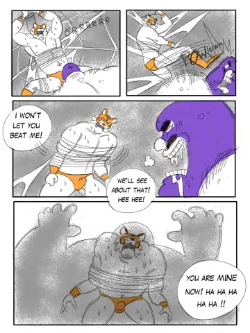 [Balmos] Tiger Fall Fhentai - Page 19