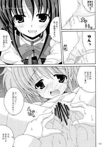 [Yumeno Shiya] Homu Homu no Bousou Fhentai - Page 12