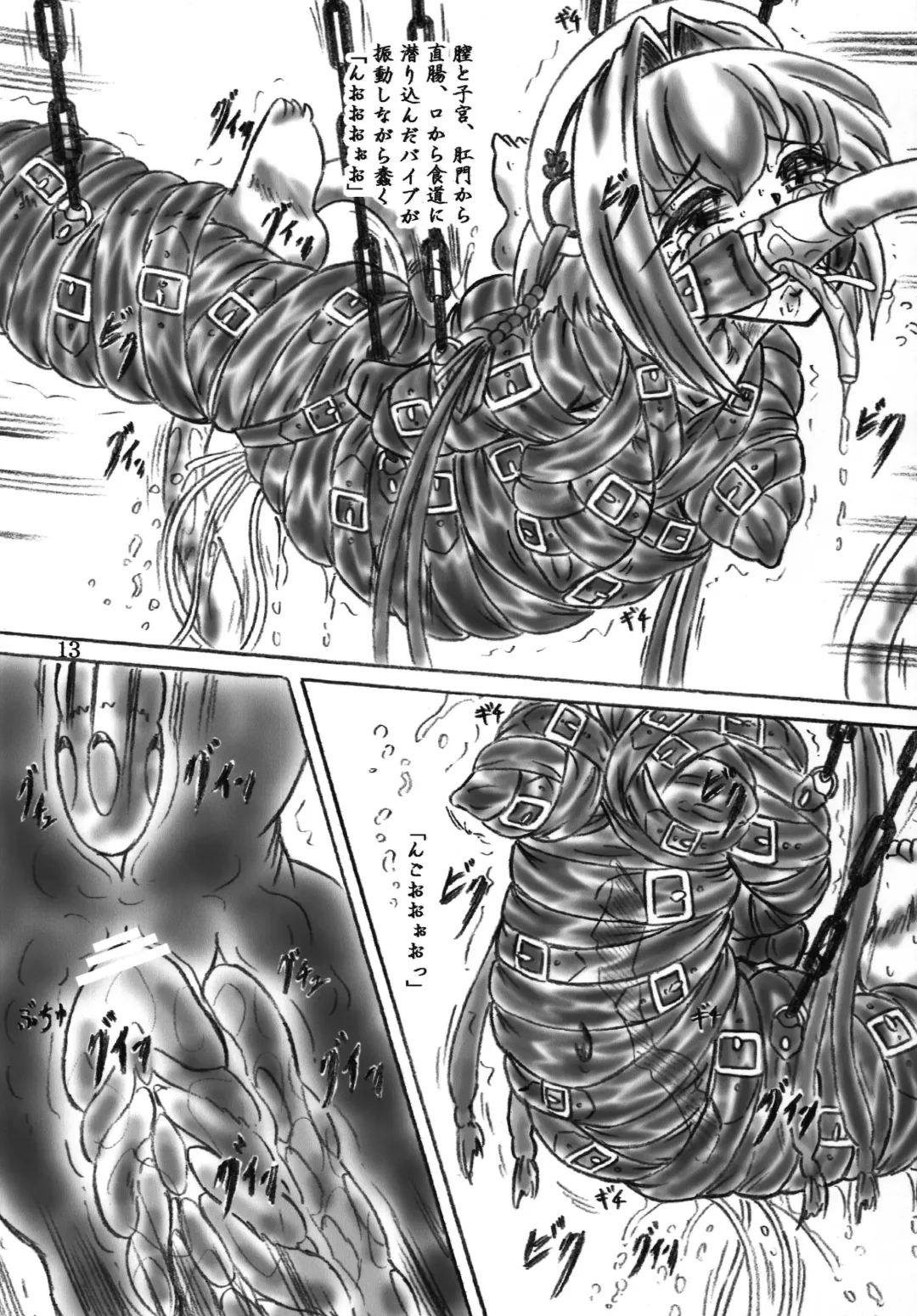 [Sumomo Ex] Ririan. 4 - Shin Chouun Desu Fhentai - Page 12