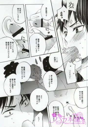 [Amamiya Amako] 3-nen E-gumi Karasuma-kun Fhentai - Page 19
