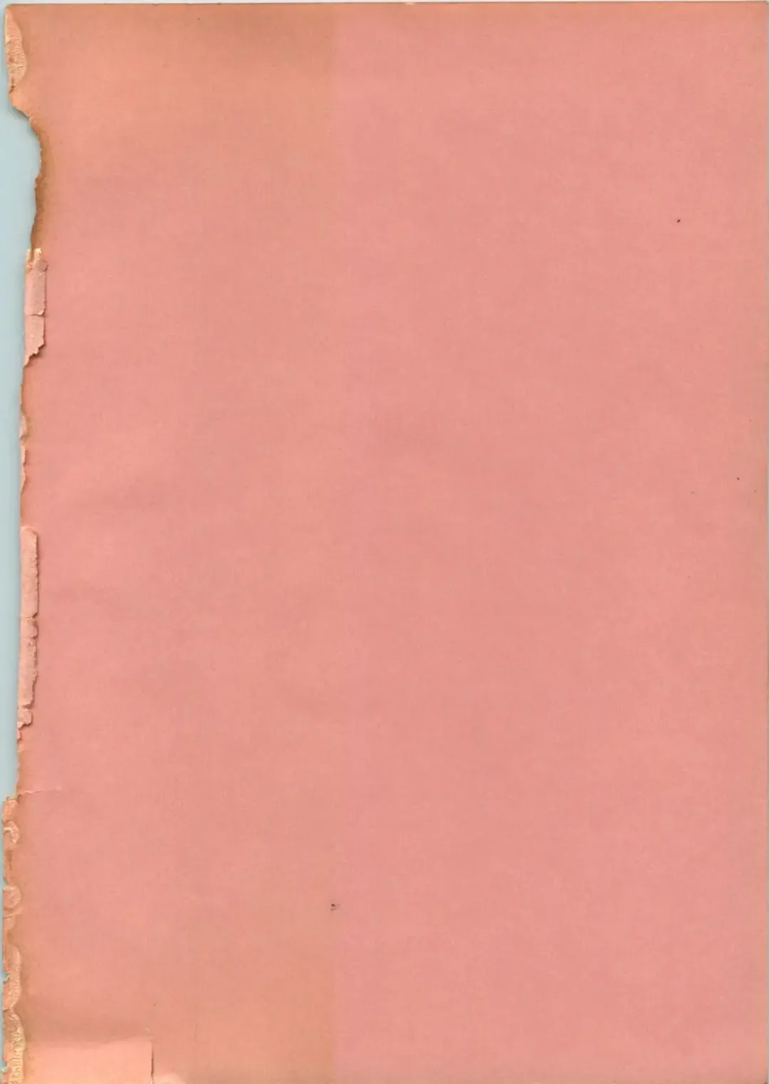 [Ebifly] Itoshi no Ebi Senbei Fhentai - Page 185