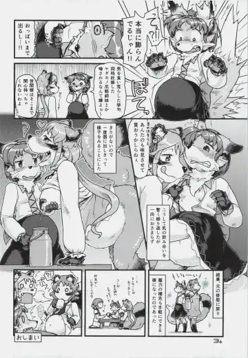 Touhou PLUMFUR 3 Fhentai.net - Page 34