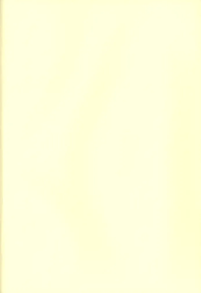 [Midoriqa] Soramame no Cream "ae" Spaghetti Fhentai - Page 3