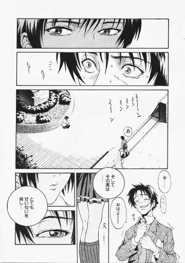 [Kanata] Fantastic All Stars Fhentai - Page 175