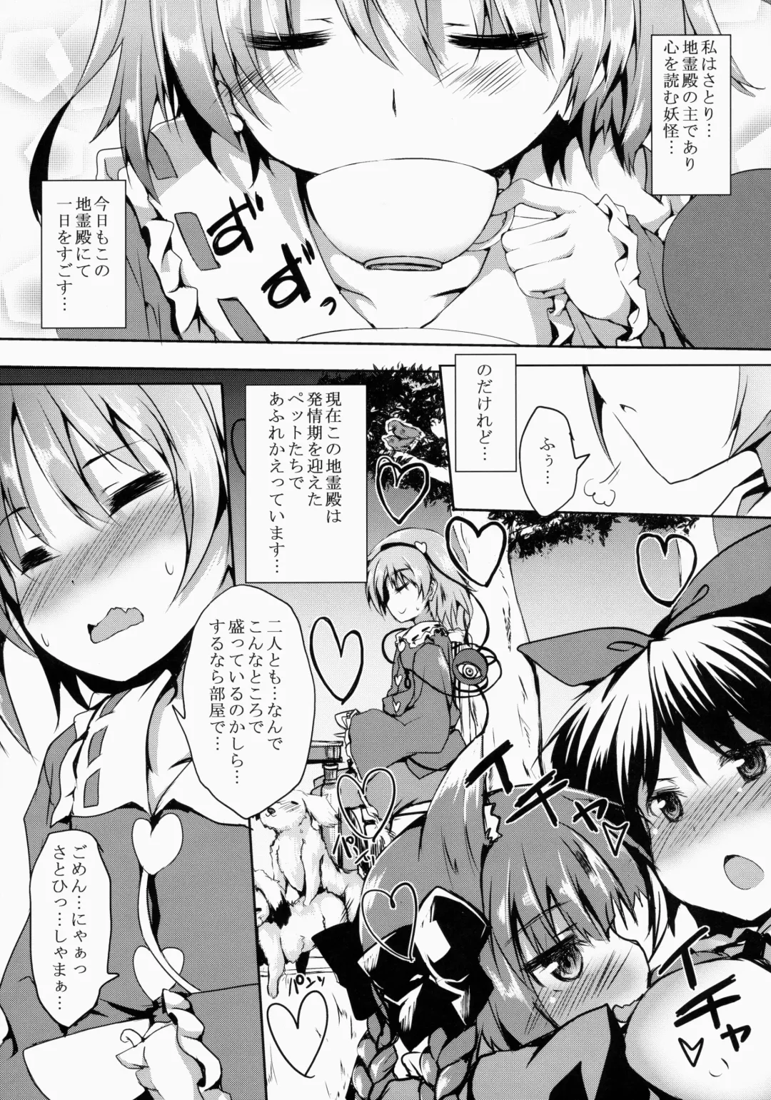 [Nanpuu] Satori MAX Fhentai.net - Page 4