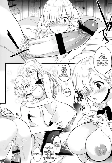 [Ichitaka] C9-16 Omorashi Elizabeth Fhentai.net - Page 16