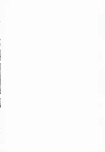 [Yoshiie] Lilith -Inma ni natta Kishi- | Lilith -The Knight Who Became a Succubus- Fhentai - Page 2