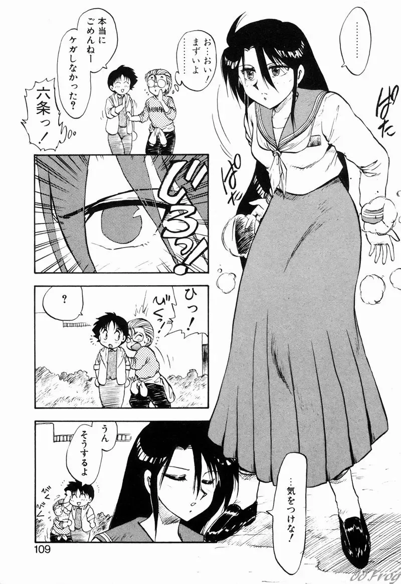 [Hiryuu Ran] Gensou Shoujo Zukan Fhentai - Page 106