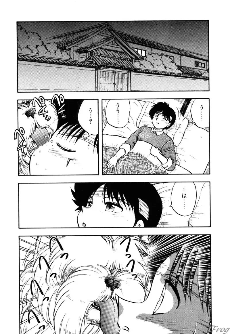 [Hiryuu Ran] Gensou Shoujo Zukan Fhentai - Page 140