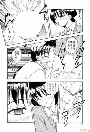 [Hiryuu Ran] Gensou Shoujo Zukan Fhentai - Page 10