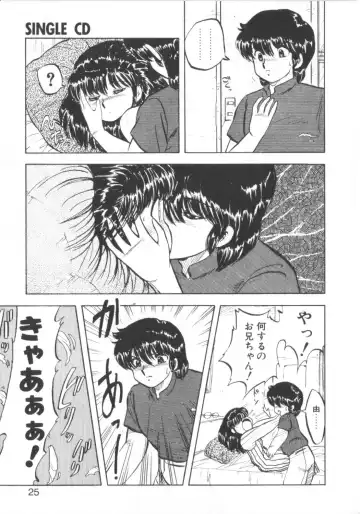 [Hiryuu Ran] Super Sister Fate Fhentai - Page 23