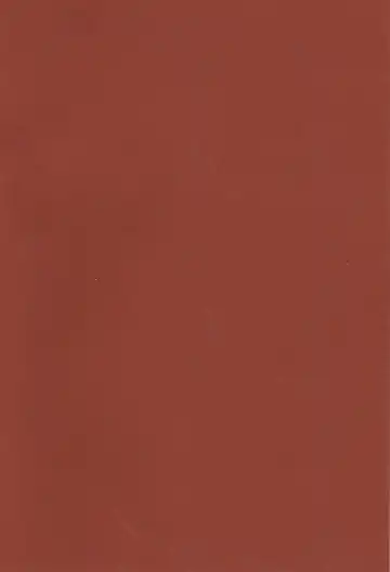 WHAT THE HELL Fhentai - Page 2