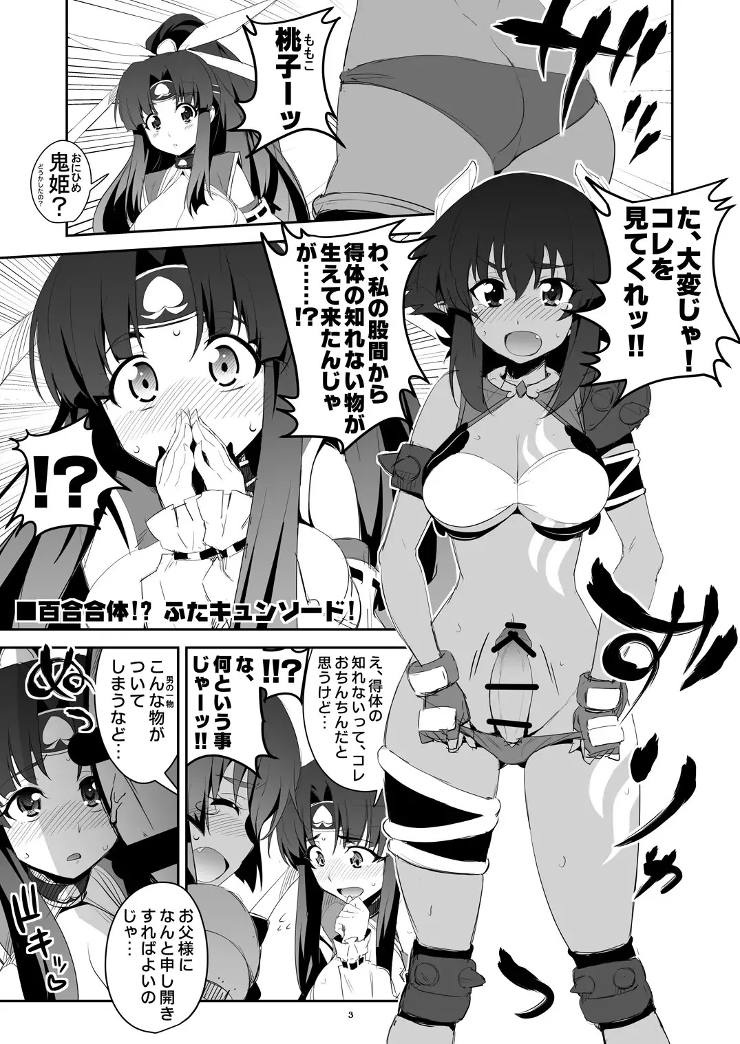 [Guy] Futa Kyun Sword Fhentai - Page 3