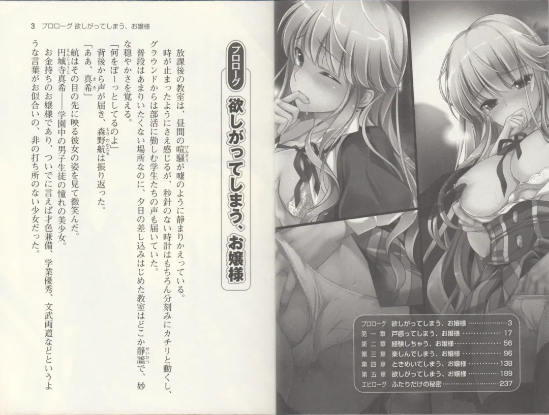 [Monety] 【Kyougaku】Tsuntsun na Ojou-sama ni Chikan shita Kekkawww Fhentai - Page 4