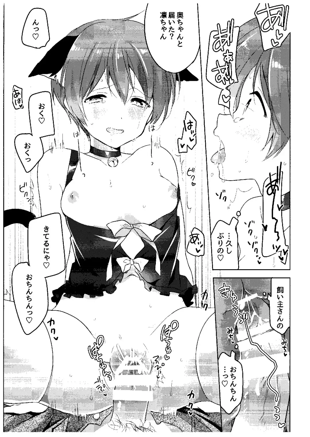 [Non] Haru no Samishi ga Rin-chan Fhentai - Page 13