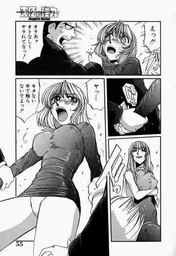 [Mac-v] Tenshi no Dangan Fhentai - Page 56