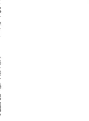 [Haruki Genia] Fight Ippatsu Fhentai - Page 2