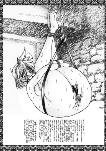 [Lento] Monster Collection Fhentai - Page 19