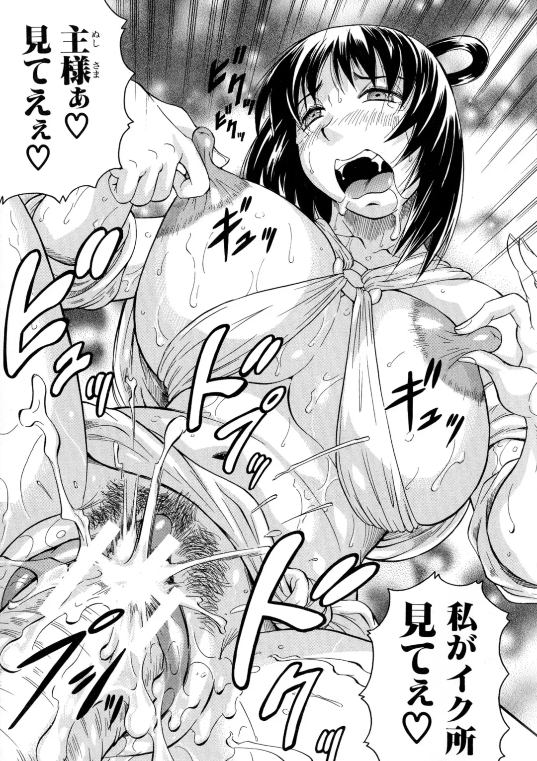 [Jamming] Chigyaku no Mesu Hime Fhentai - Page 148