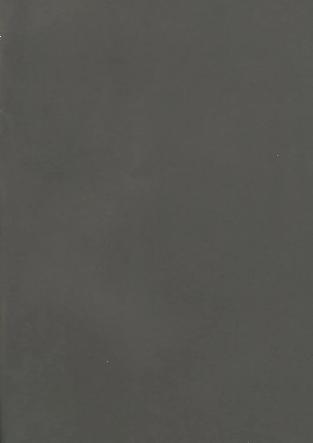 [Ahobaka] TWO HORN Fhentai - Page 21