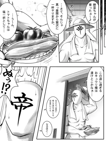 [Teiou Club] "Request"  Yasai Otome Fhentai - Page 2