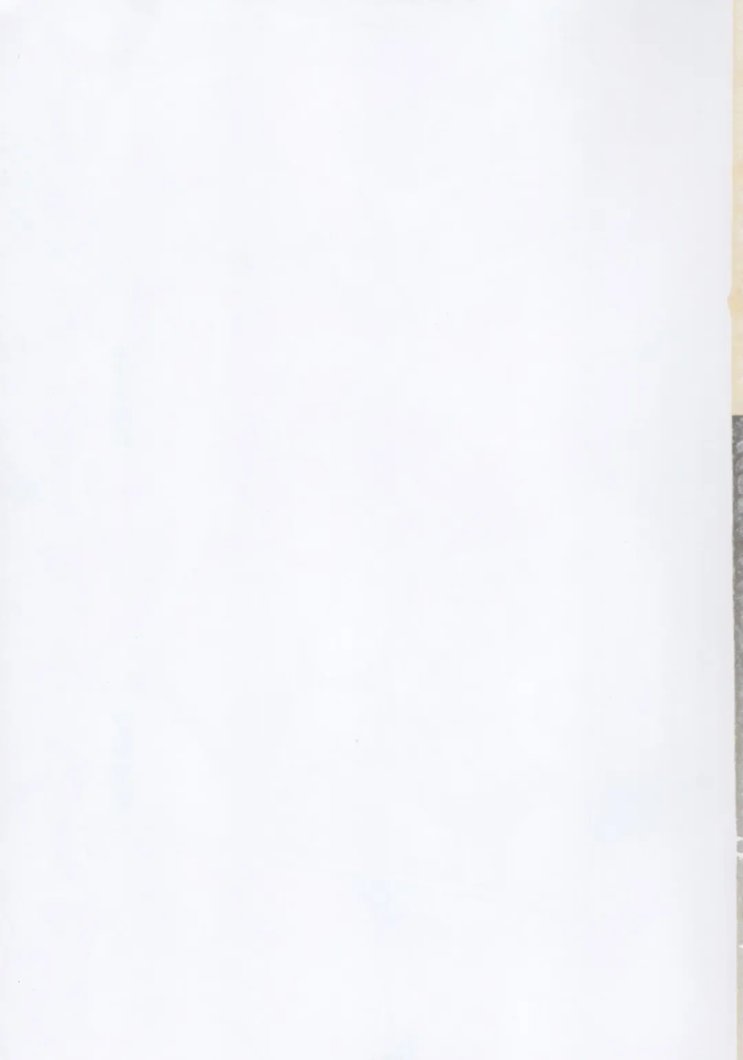 [Hase Yuu] Ilya Bunhokan Keikaku Bangaihen Ilya x3 Fhentai - Page 31