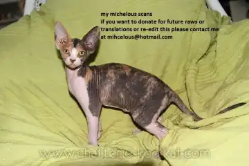 [Imawano Lem] This LOVE#88 Fhentai - Page 29