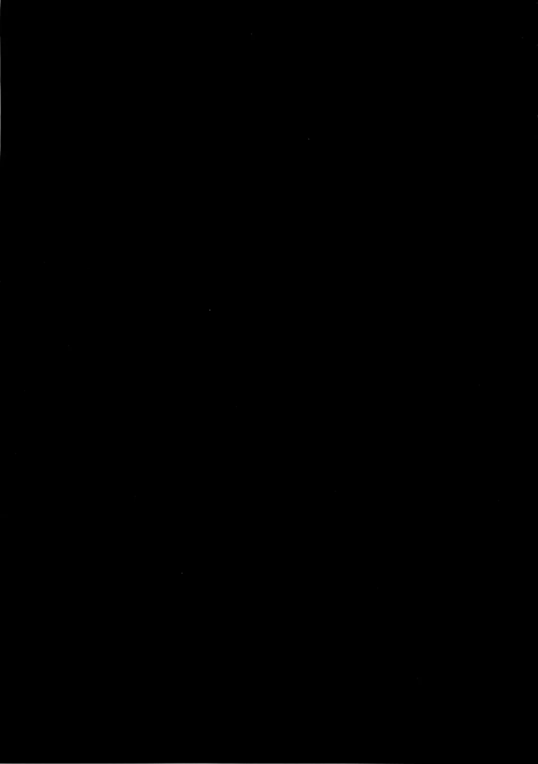 [Ahobaka] Deliheal Elf Hajimemashita Fhentai - Page 25