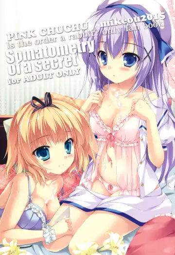 [Mikeou] Naisho no Shintai Sokutei - Somatometry of a secret Fhentai - Page 2