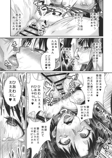 [Chimosaku] Taihai no Susume Fhentai - Page 18