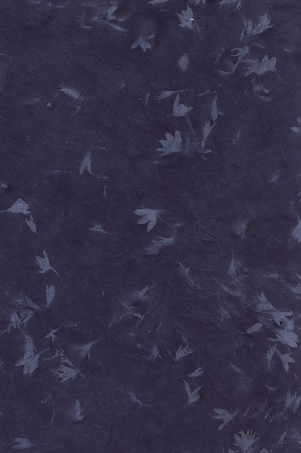 [Minana] Karan Garan Fhentai - Page 2