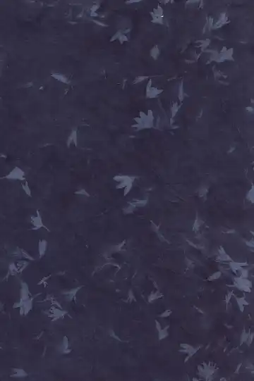 [Minana] Karan Garan Fhentai - Page 2