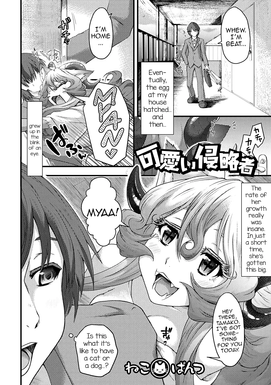 [Neko Pantsu] Kawaii Shinryakusha Fhentai - Page 2